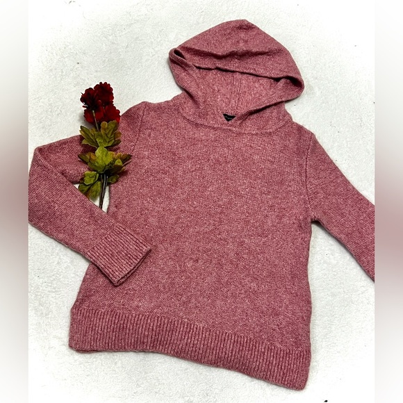 Banana Republic Merino Wool Blend Hooded Sweater - Medium - Picture 1 of 7